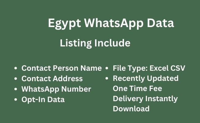 埃及 WhatsApp 数据​
